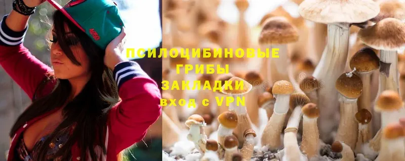 купить  сайты  Нововоронеж  OMG сайт  Псилоцибиновые грибы Psilocybine cubensis 